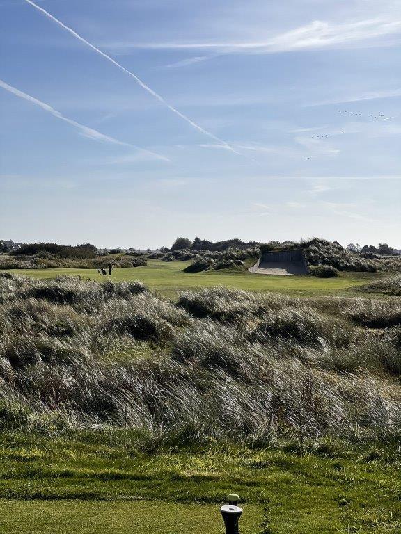 Texelse golfbaan anwbgolf rought